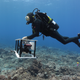 A diver uses a camera to capture images of coral in the Northern Marianas Islands.